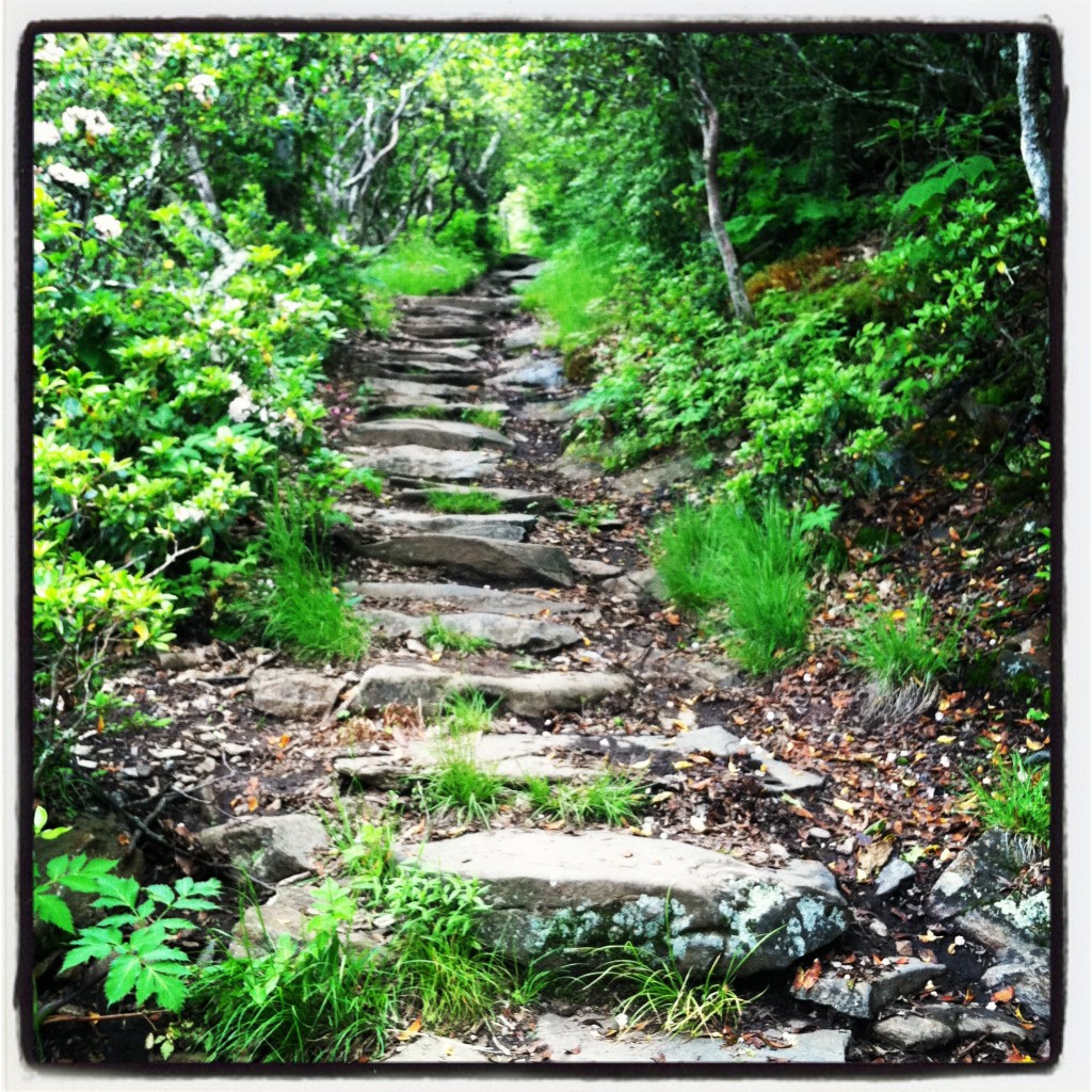 Pisgah National Forest Stairs